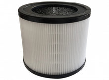 Load image into Gallery viewer, Cyclo UV- 310C Filter (PUV310CFILT)
